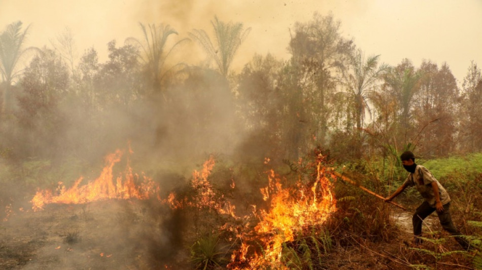  Indonesia haze spikes Singapore pollution, shuts East Timor schools 
