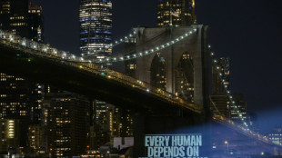 Trait&eacute; sur la haute mer: les ONG inqui&egrave;tes de la "lenteur" des n&eacute;gociations