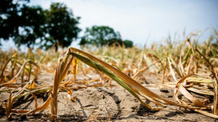Rekord-Trockenheit im Juli in Europa und Mittelmeerraum