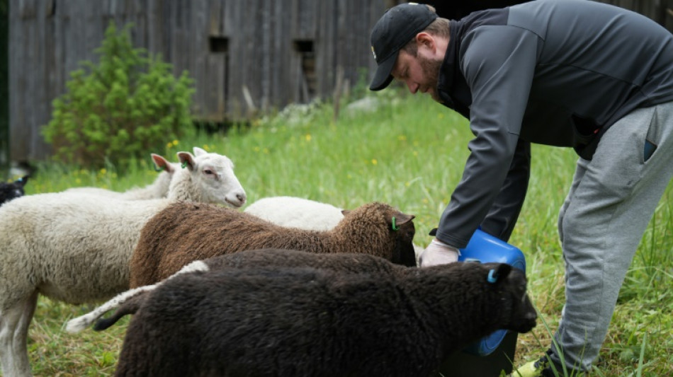 Pastor por uma semana: um programa de verão inusitado, mas popular na Finlândia