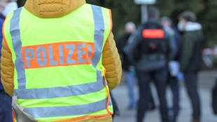 Berliner Hotel "Adlon" aus Protest gegen Fl&uuml;ssiggasgipfel mit Farbe beworfen