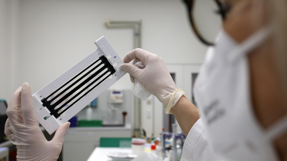 Il genoma umano in una memoria di cristallo contro l&#039;estinzione