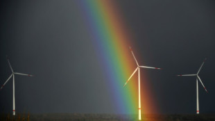 Climate action must not be delayed by global crises, UN talks told