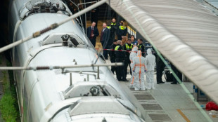 Attaque au couteau à Hambourg: la suspecte atteinte de troubles mentaux