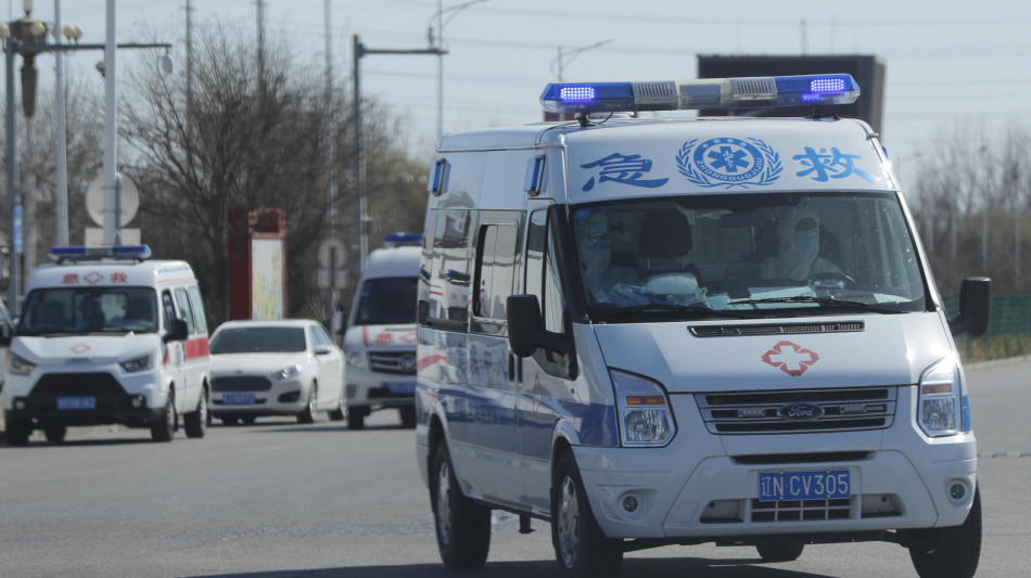  Un morto e un contagio da hantavirus in Brasile, ma non collegati con la nave 