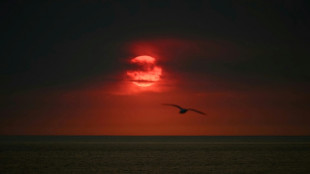 Las actividades humanas perturban la absorci&oacute;n de CO2 por los oc&eacute;anos, seg&uacute;n un estudio