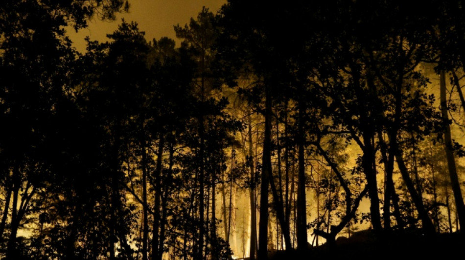  Waldbrand bei Fontainebleau nahe Paris - Urlaubsverkehr beeintr&auml;chtigt 