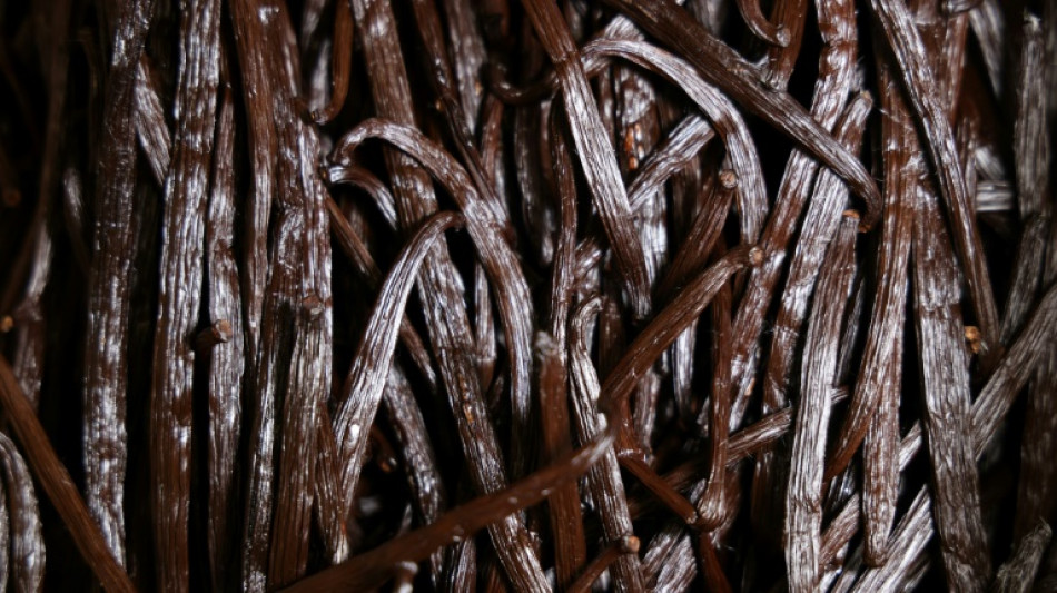 L'avenir incertain de la vanille de La R&eacute;union