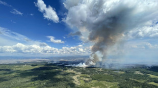 Evacuation de la plus grande ville du Nord canadien en raison des feux de for&ecirc;t