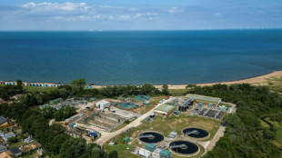 UK water pollution alarms summer bathers