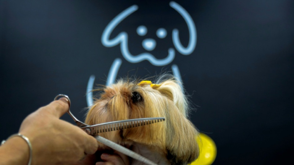  Nova lei paulista permite enterro de animais de estima&ccedil;&atilde;o em sepulturas familiares 