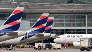 La IATA, "optimista" sobre la recuperaci&oacute;n del sector de la aviaci&oacute;n