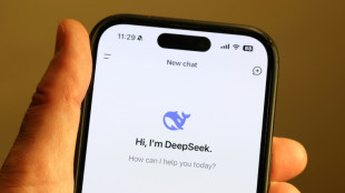 DeepSeek, la start-up china fundada por un "geek" que desaf&iacute;a a los gigantes de la Silicon Valley