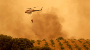 Untamed wildfires force over 160,000 to flee in France, Spain