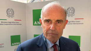 Bruni (Ispi), il punto caldo della diplomazia &egrave; il Medio Oriente