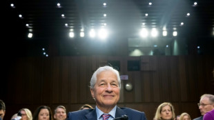 JPMorgan Chase y grandes bancos de EEUU con s&oacute;lidos resultados en 2024