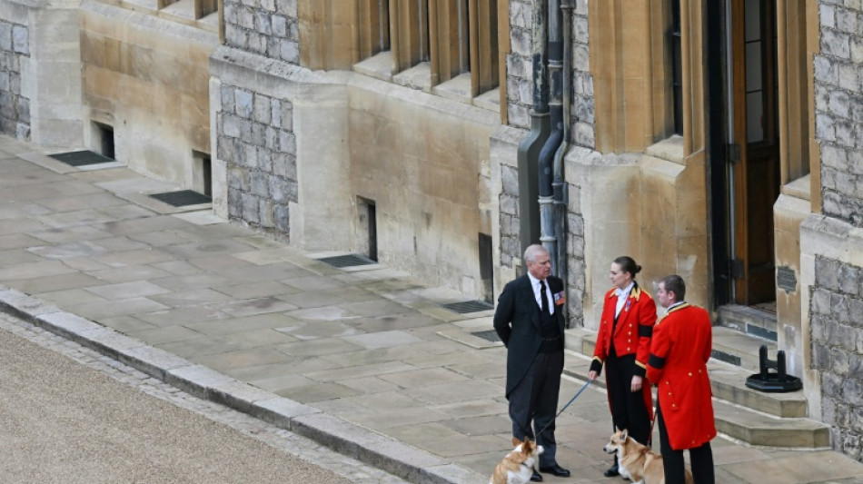Los c&eacute;lebres perros de la reina Isabel II, protagonistas de una exposici&oacute;n en Londres