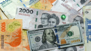 L'Argentine obtient 32 milliards de dollars d'aide du FMI et de la Banque mondiale