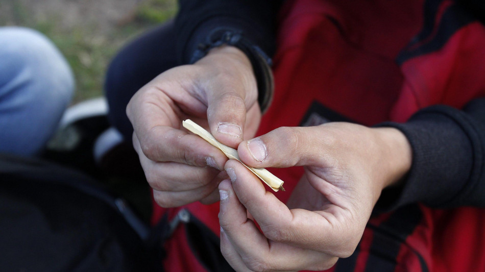  Uruguay verso la cannabis legale anche per turisti e stranieri 