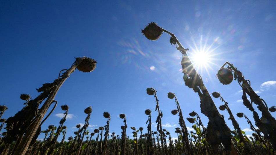  Apr&egrave;s une s&eacute;cheresse historique, Solidarit&eacute; Paysans au chevet d'agriculteurs &agrave; bout 