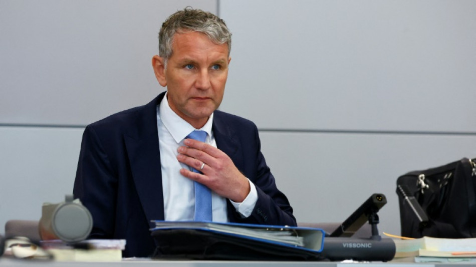 Vorwurf des Verwendens von NS-Parole: Weiterer Prozess gegen AfD-Politiker H&ouml;cke