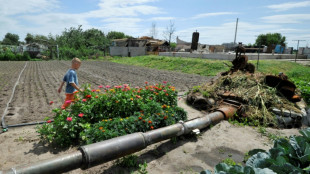 Ucrania y Rusia se aprestan a sellar acuerdo para exportar granos y sigue la guerra en Donb&aacute;s