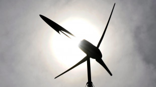 Legambiente, 3,2 milioni di green jobs; pi&ugrave; economia verde