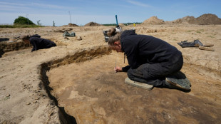 'Spectacular' Viking burial site discovered in Denmark
