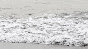 Oceani, la sfida &egrave; difendere biodiversit&agrave; e fondali