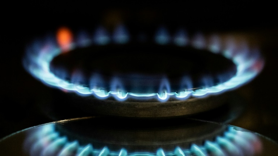 La consommation de gaz en France a baiss&eacute; de 6,2% en 2022