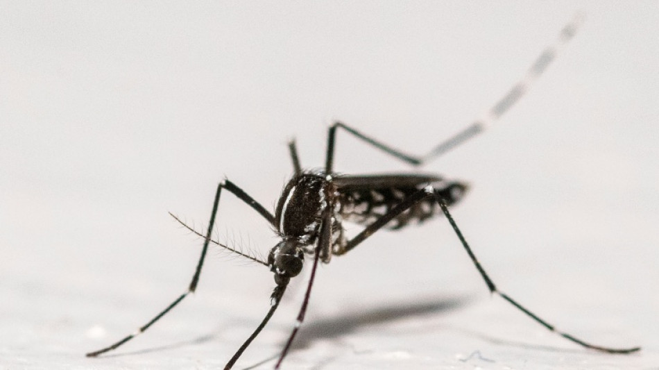  Sri Lanka: une unit&eacute; militaire sp&eacute;ciale pour endiguer une &eacute;pid&eacute;mie de dengue 