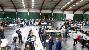 Al via le elezioni locali in Gb, prevista ascesa dei populisti