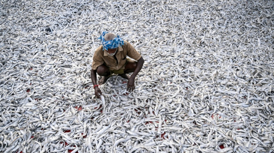 Indian readies for punishing US tariffs