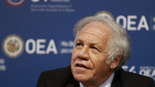 Venezuela: Almagro, 'fermare questa irrazionalit&agrave; repressiva'