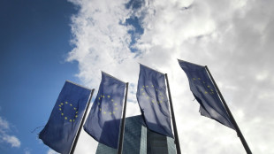 La BCE pr&eacute;pare un nouveau tour de vis mon&eacute;taire 