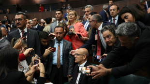 Turkey touts market-friendly turn in global investment roadshow 
