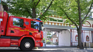 Un muerto y nueve heridos en descarrilamiento en una monta&ntilde;a rusa de Suecia