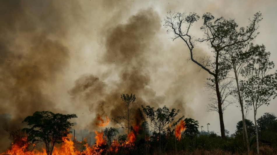  El Nino Watch: the impacts around the world this week 