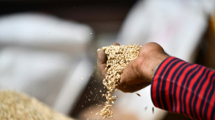 Welthungerhilfe verzeichnet schwere R&uuml;ckschl&auml;ge im Kampf gegen den Hunger 