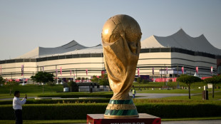 Ultime semaine avant un Mondial &agrave; nul autre pareil