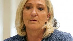 Jugement Le Pen: le RN riposte en attaquant violemment les juges et "le syst&egrave;me"