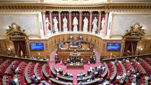 Une commission parlementaire d&eacute;plore "l'absence de vision" de l'Etat sur le co&ucirc;t des agences