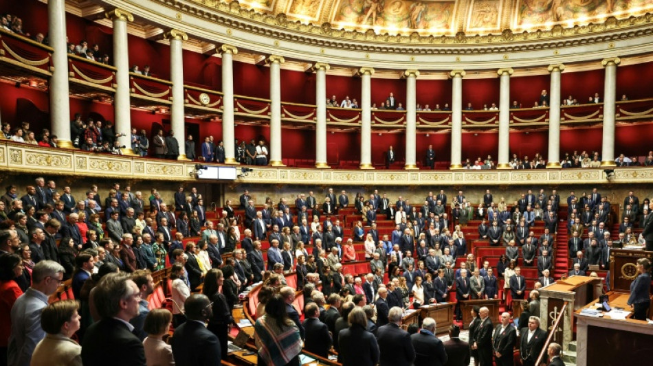  Anschlag bei Paris: Nationalversammlung h&auml;lt Schweigeminute f&uuml;r Opfer ab 