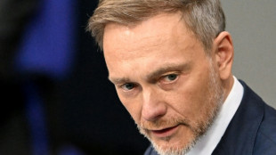 Lindner lässt Kritik an Einstieg bei US-Firma zurückweisen: Kein Interessenkonflikt