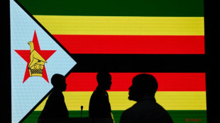 Amtsinhaber Mnangagwa gewinnt Pr&auml;sidentschaftswahl in Simbabwe 
