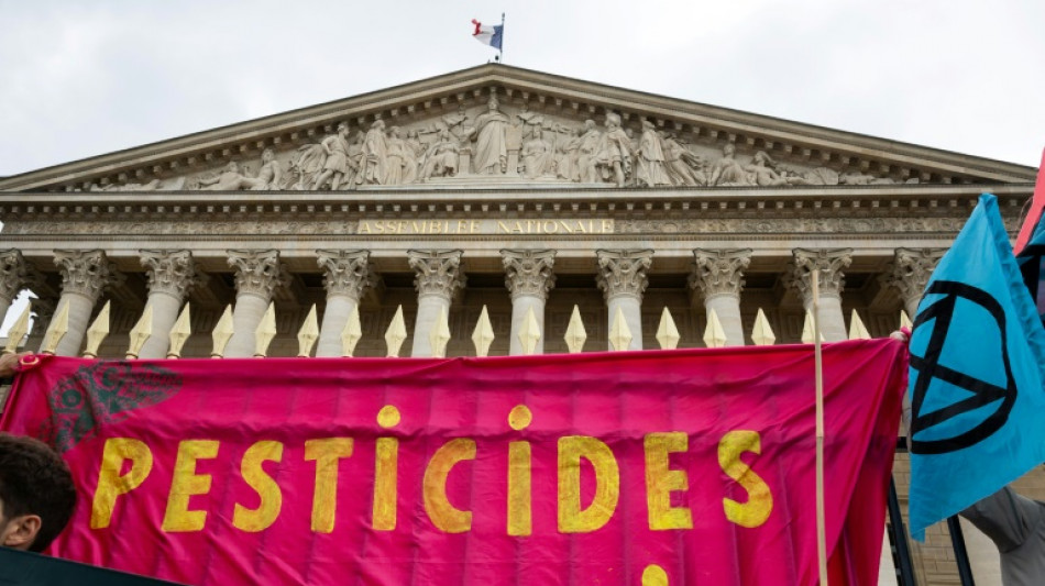 Interdire les importations de produits traités à l'acétamipride: une option "compliquée"