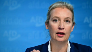 AfD-Chefin Weidel: US-Wahl k&ouml;nnte "ein Vorbild f&uuml;r Deutschland sein"
