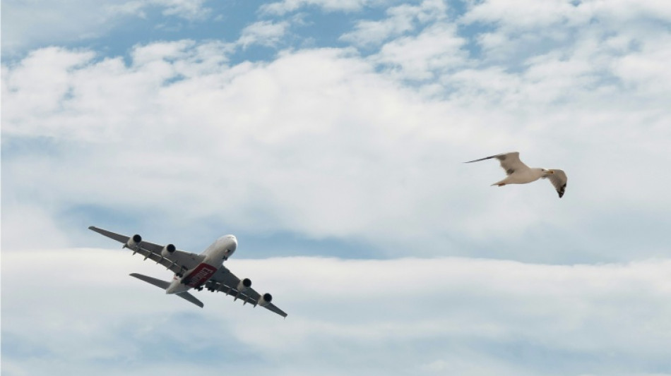  Profits soar at Airbus as it delivers more planes 