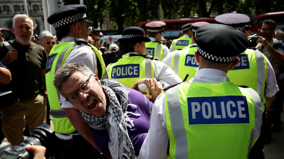 M&aacute;s de 350 detenidos en Londres en una manifestaci&oacute;n de apoyo a una organizaci&oacute;n propalestina prohibida