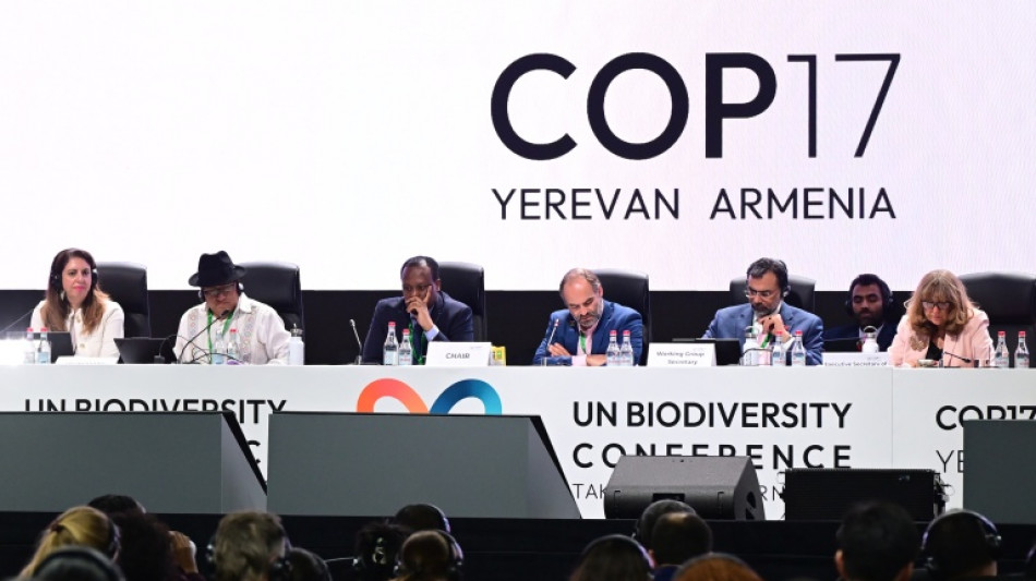  Nations agree push to get nature goals on track 